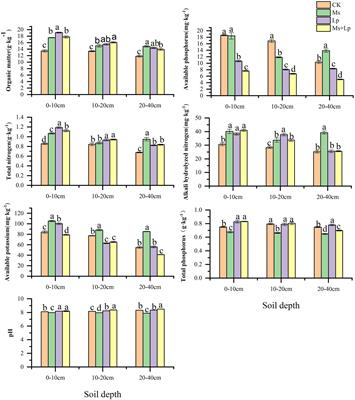 Effects of Grass Inter-Planting on Soil Nutrients, Enzyme Activity, and Bacterial Community Diversity in an Apple Orchard